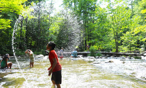 Gsmit Discovery Camp 1 3 Townsend Tennessee Camprooster