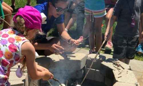 Camp Shady Grove Glen Allen Virginia Camprooster