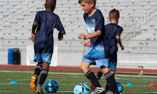 Skokie Park District Tinytykes Summer Camp Skokie Illinois Camprooster