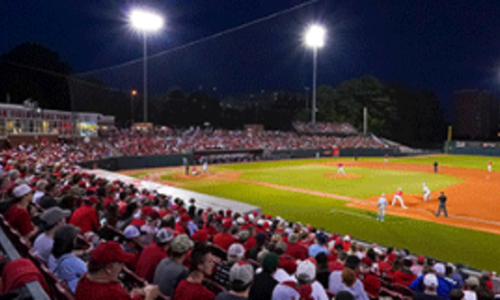 Wolfpack Baseball Youth Camp Raleigh North Carolina Camprooster